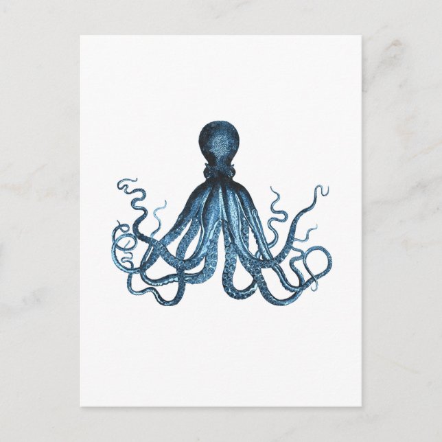Cartão Postal Octopus kraken — azul marinho costeiro (Frente)