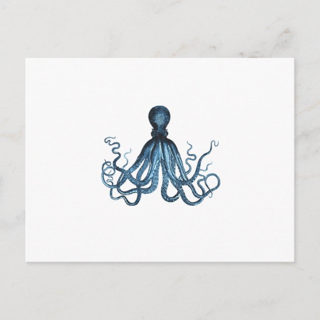 Cartão Postal Octopus kraken litoral azul de praia (Frente)