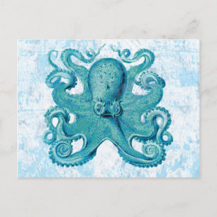 Cartão Postal Octopus Marine Life Ocean Animal Beach Life