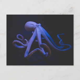 Cartão Postal Octopus púrpura
