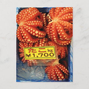 Cartão Postal Octopus Tako た こ Tsukiji Fish Market, Tóquio,
