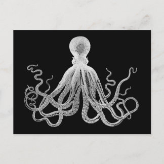 Cartão Postal Octopus Vintage
