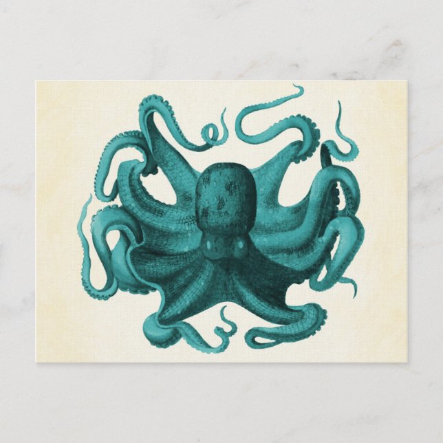 Cartão Postal Octopus Vintage (Frente)