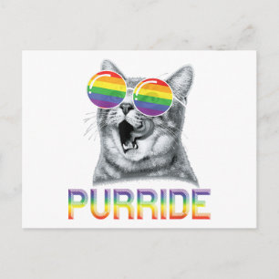 Cartão Postal Óculos de Sol Arco-íris Orgulho Gay Gato Divertido