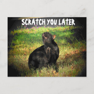 Cartão Postal Ocupado, Coroa? Encaixe você mais tarde