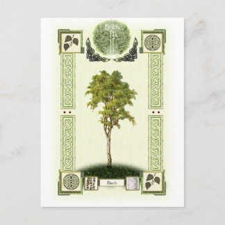 Cartão Postal Ogham Birch