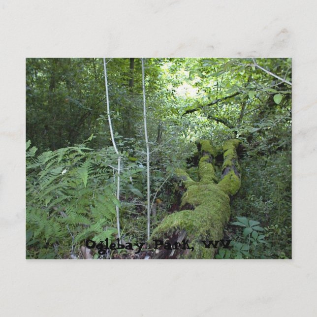 Cartão Postal Oglebay Park, WV (Frente)