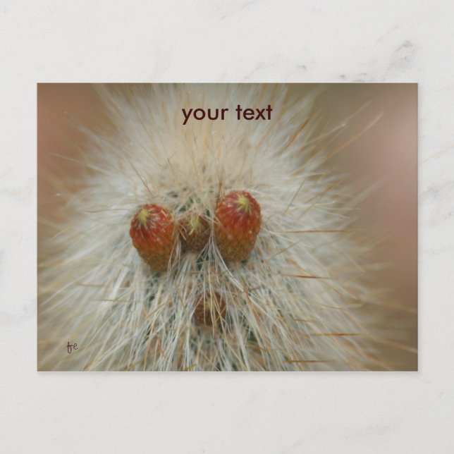 Cartão Postal Oh (Frente)