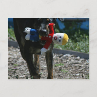 Cartão Postal Oh-Não Sr. Bill