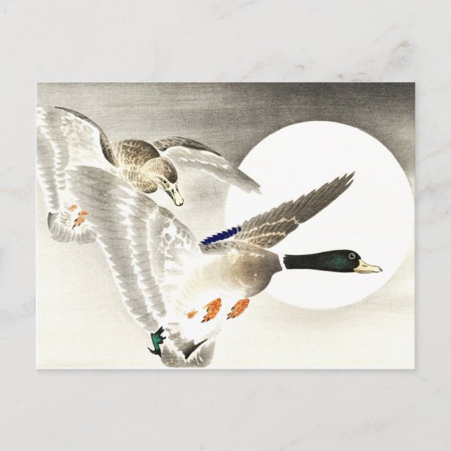 Cartão Postal Ohara Koson Japonês Dois Patos Na Lua Completa (Frente)