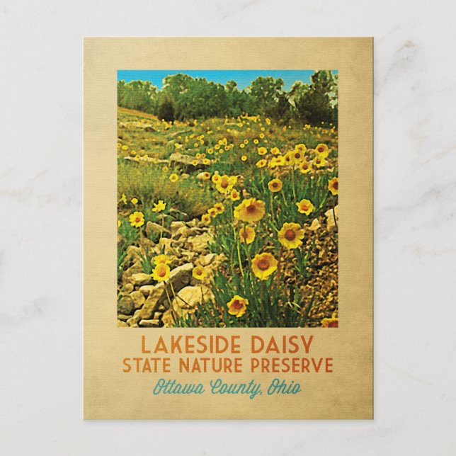 Cartão Postal Ohio Lakeside Daisy Preserve (Frente)