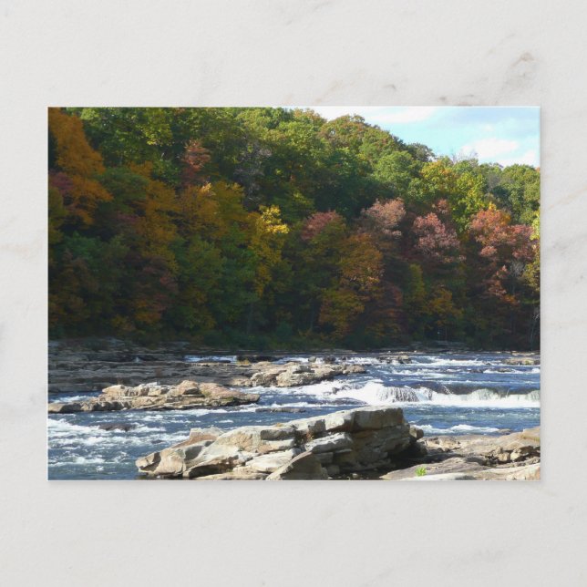 Cartão Postal Ohiopyle River Rapids in Fall Pennsylvania Autumn (Frente)