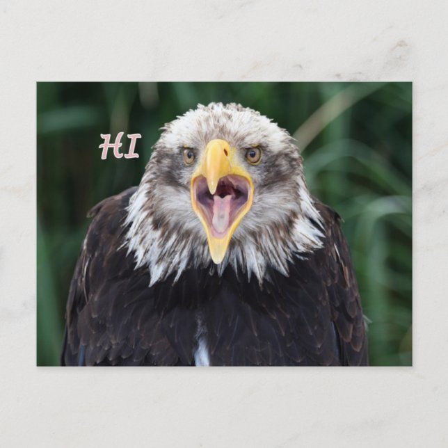 Cartão Postal oi (Frente)