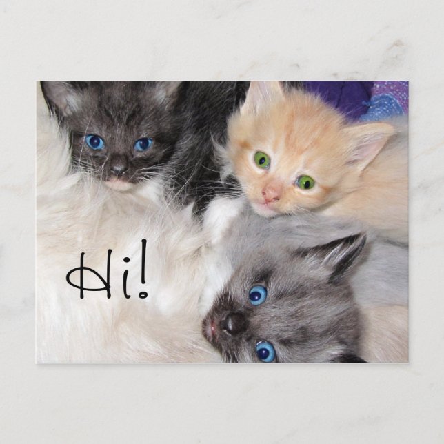 Cartão Postal Oi! (Frente)