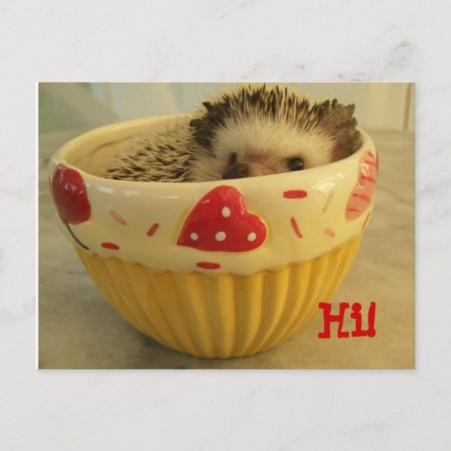 Cartão Postal Oi! (Frente)