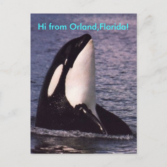 Cartão Postal Oi (Frente)