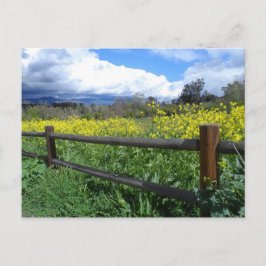Cartão Postal Ojai Meadows
