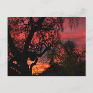 Cartão Postal Ojai Sunset