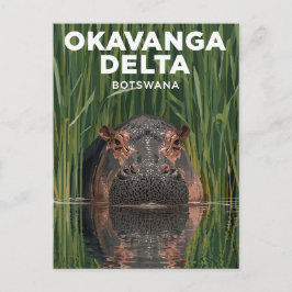 Cartão Postal Okavanga Delta Botswana Hippo Wildlife Travel