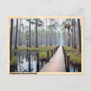 Cartão Postal Okefenokee Swamp Georgia Viagens vintage