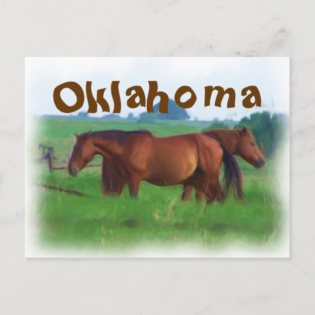 Cartão Postal Oklahoma Cavalos 2 (Frente)