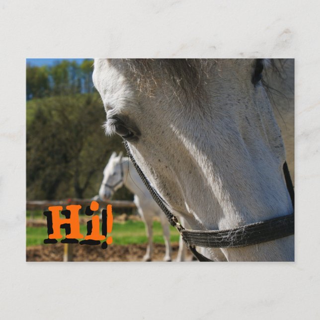 Cartão Postal Olá! (Frente)