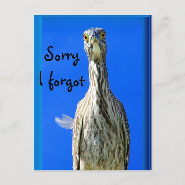 Cartão Postal Olá_ (Frente)