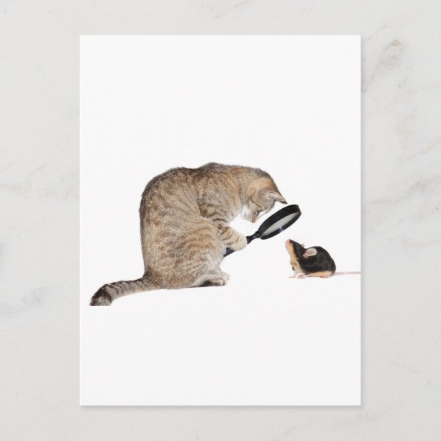 Cartão Postal Olá? (Frente)