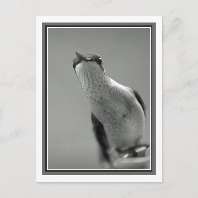 Cartão Postal Olá (Frente)