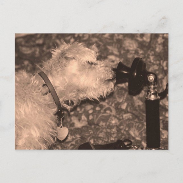 Cartão Postal Olá! (Frente)