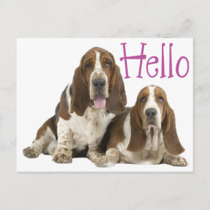 Cartão Postal Olá Cachorro Basset Hound Roxo