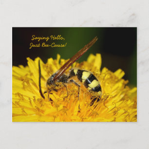 Cartão Postal Olá Da Abelha Na Flor Amarelo Dandelion