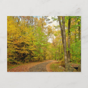 Cartão Postal Olá Da Cena Postcard-Fall Da Pensilvânia