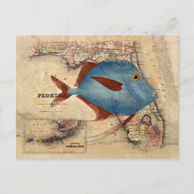 Cartão Postal Olá da Flórida (Frente)