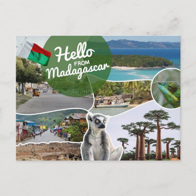 Cartão Postal Olá de Madagascar (Frente)