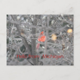 Cartão Postal Olá! de Michigan