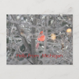 Cartão Postal Olá! de Michigan