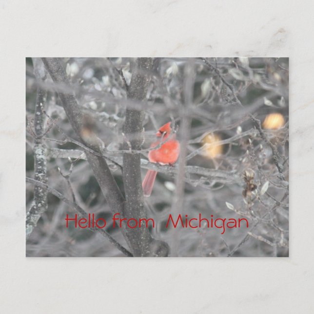 Cartão Postal Olá! de Michigan (Frente)