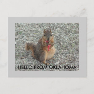CARTÃO POSTAL OLÁ DE OKLAHOMA