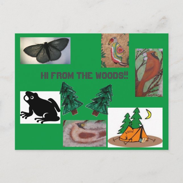 Cartão Postal Olá do campo de floresta (Frente)
