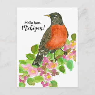 Cartão Postal Olá do Michigan American Robin
