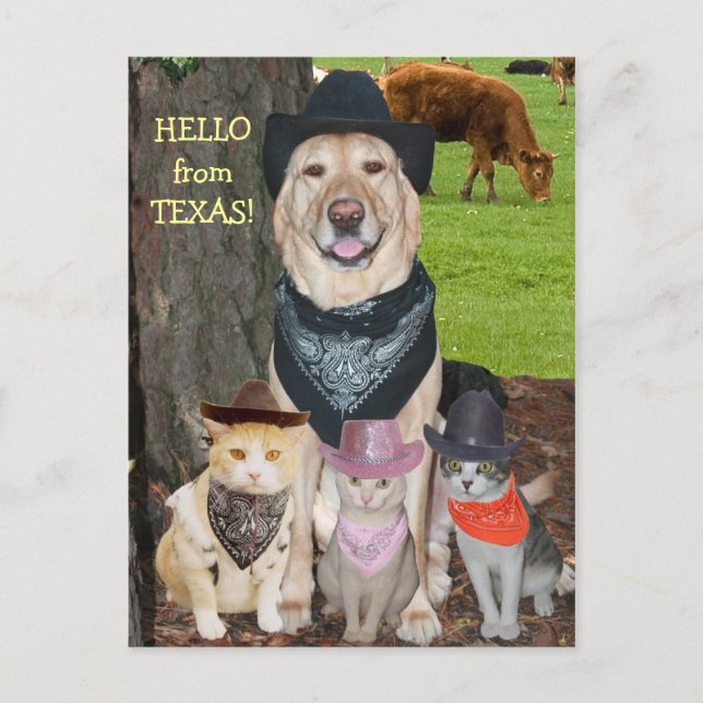 Cartão Postal Olá do Texas! (Frente)