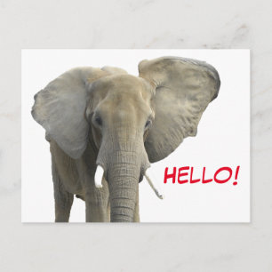 Cartão Postal Olá, Elefante