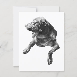 Cartão Postal Olá, Evergreen Corners