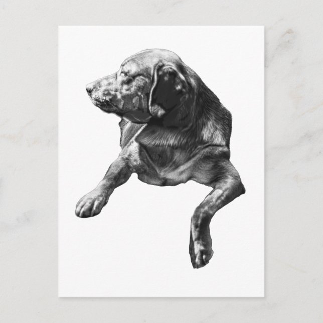 Cartão Postal Olá, Evergreen Corners (Frente)