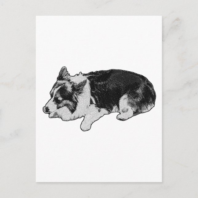 Cartão Postal ola grão de neve, corgi (Frente)
