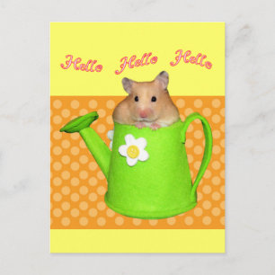 Cartão Postal Olá, Hamster