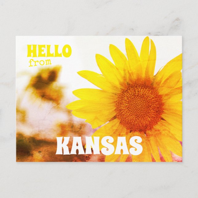 Cartão Postal Olá, Kansas Sunflower (Frente)
