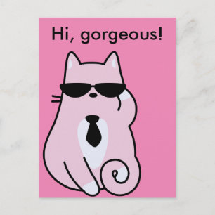 Cartão Postal Olá, linda! - Cartão-postal de Gato Rosa Legal