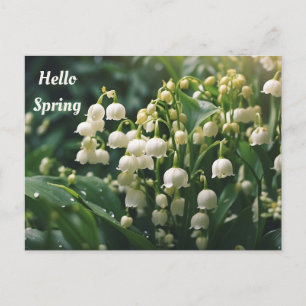 Cartão Postal Olá Lírios do Vale Flores da Primavera